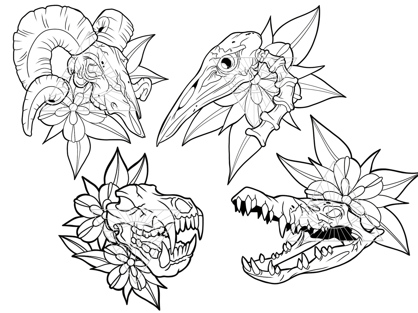 Animal Skull SVG PNG Bundle Laser Cut Files