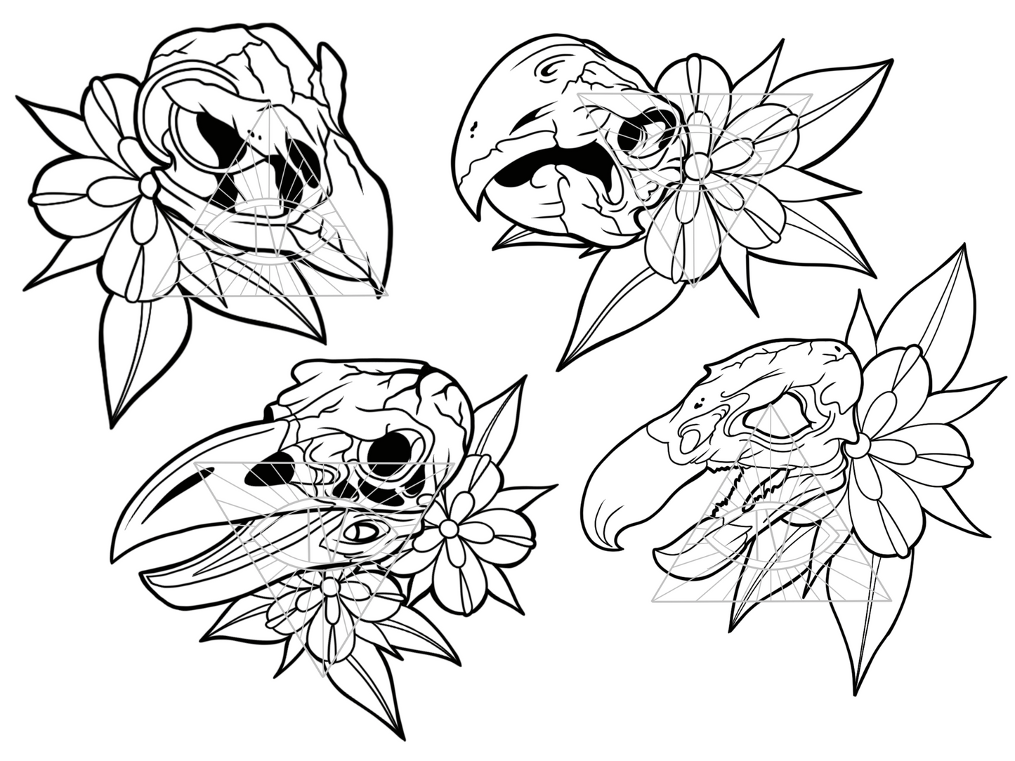 Bird Skulls PNG SVG Cut Files