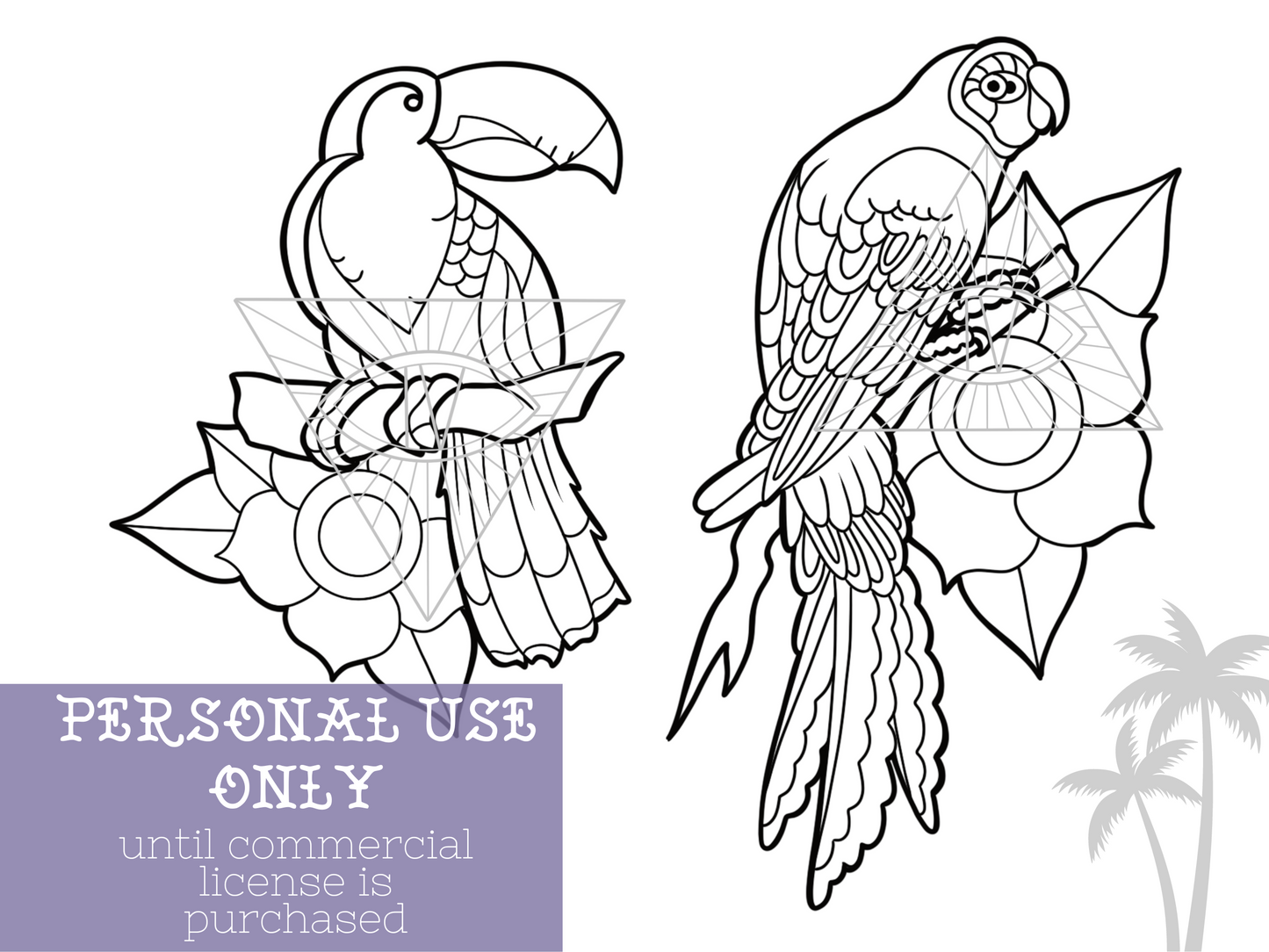 Tropical Birds SVG PNG Files